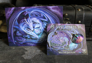 Welcome Hatchling Collector’s Edition Pin Set by Anne Stokes