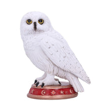 Wizard's Familiar Owl Figurine